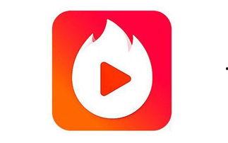 火山小视频白玫瑰,白玫瑰的浪漫绽放