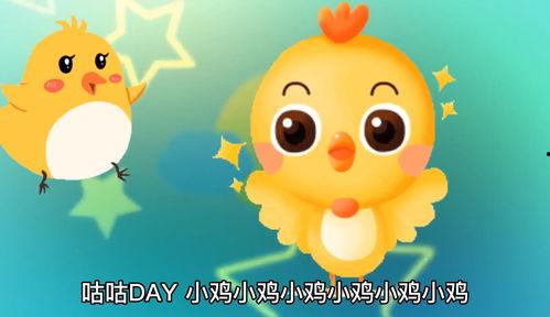 小鸡小鸡视频儿歌,欢快旋律中的童年记忆