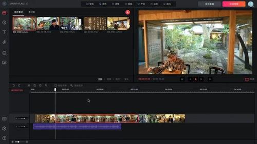 视频拍摄形式,探索不同视频拍摄形式的魅力
