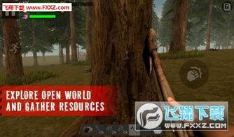 幸存者遗忘的森林视频,神秘探险之旅揭秘