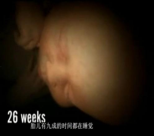 从怀孕到出生的视频,宝宝成长之旅全程回顾