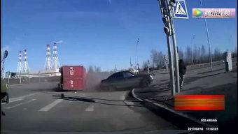 驴与斑马配种视频播放,驴与斑马跨界配种萌态大揭秘